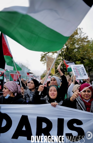 Manifestation pour la Palestine