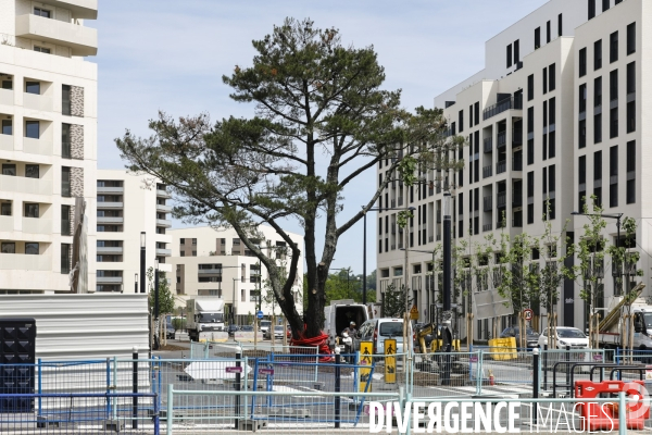 Nouveau quartier du Belvédère le long de la Garonne.