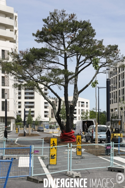 Nouveau quartier du Belvédère le long de la Garonne.