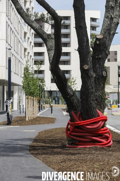 Nouveau quartier du Belvédère le long de la Garonne.