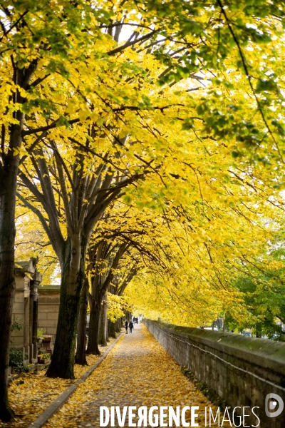 Le Père lachaise