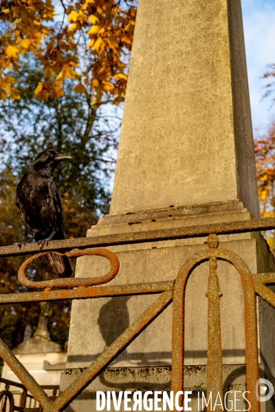 Le Père lachaise