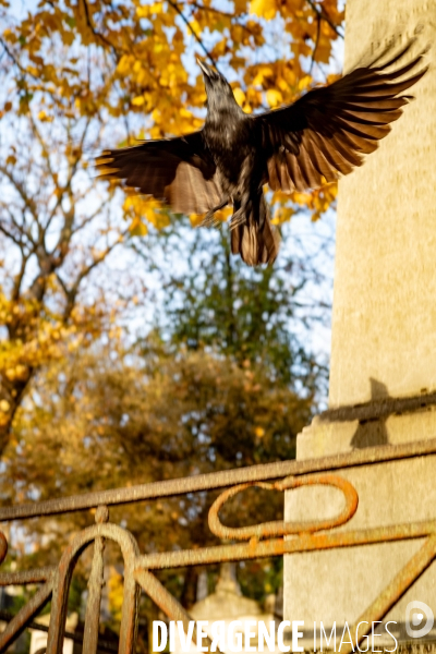 Le Père lachaise