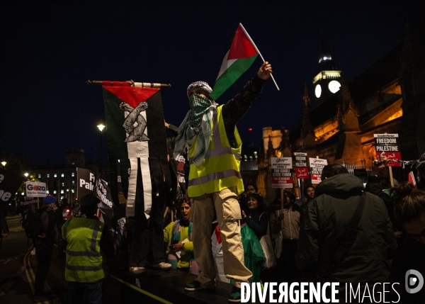 Rassemblement pour Gaza devant Westminster. 