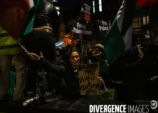 Rassemblement pour Gaza devant Westminster. 