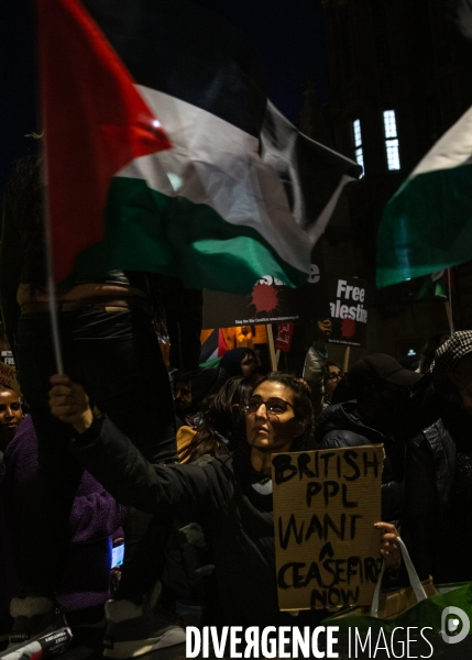 Rassemblement pour Gaza devant Westminster. 