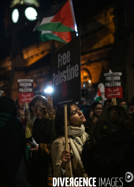 Rassemblement pour Gaza devant Westminster. 