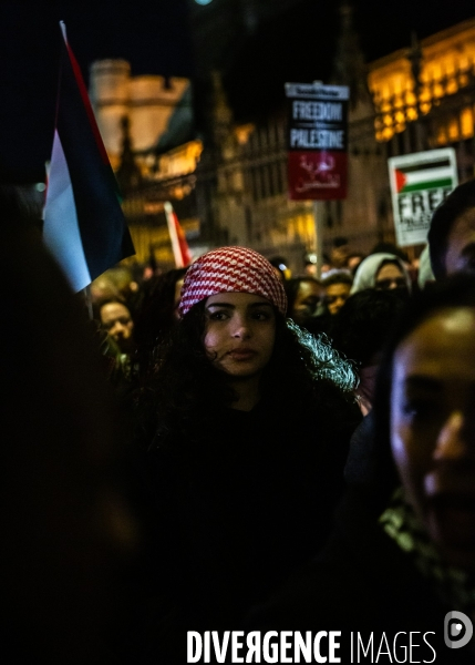 Rassemblement pour Gaza devant Westminster. 