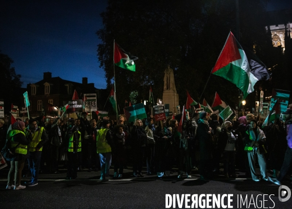 Rassemblement pour Gaza devant Westminster. 