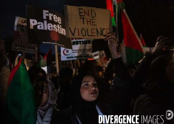Rassemblement pour Gaza devant Westminster. 