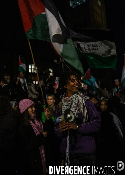 Rassemblement pour Gaza devant Westminster. 