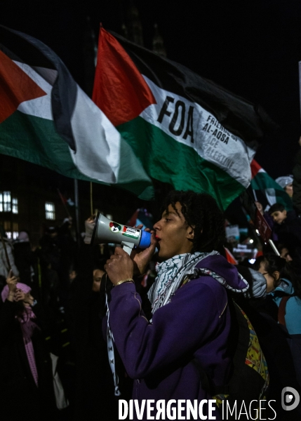 Rassemblement pour Gaza devant Westminster. 