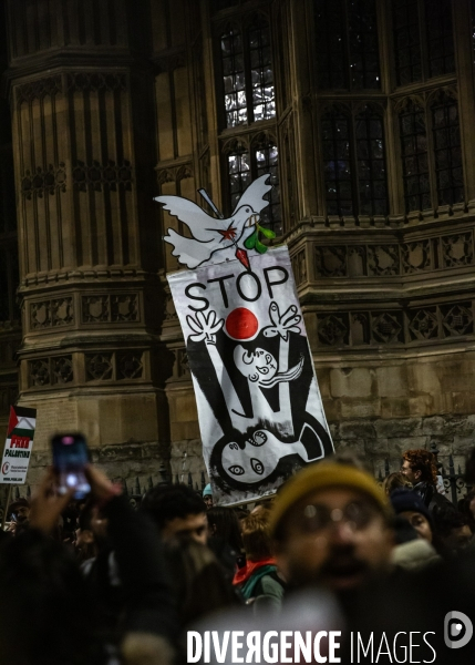Rassemblement pour Gaza devant Westminster. 