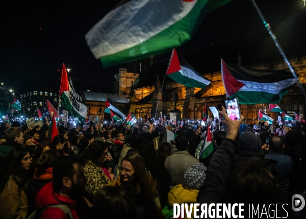 Rassemblement pour Gaza devant Westminster. 