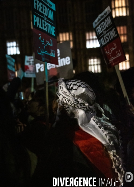 Rassemblement pour Gaza devant Westminster. 