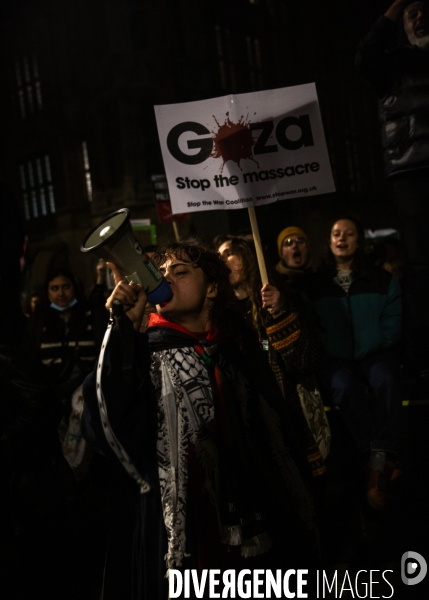 Rassemblement pour Gaza devant Westminster. 