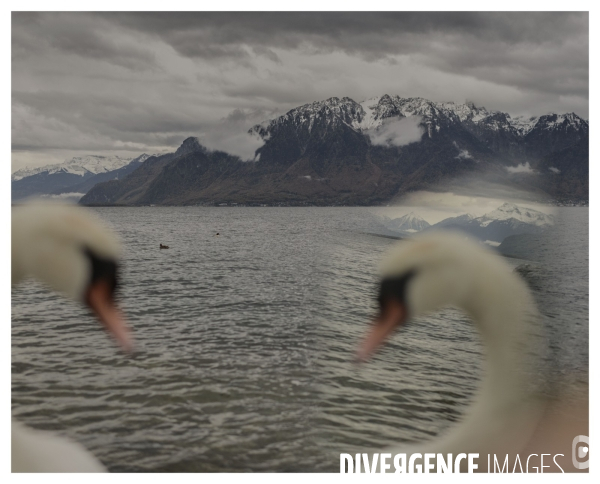 Un Conte en Suisse