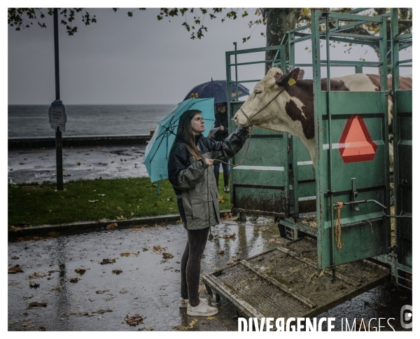 Un Conte en Suisse