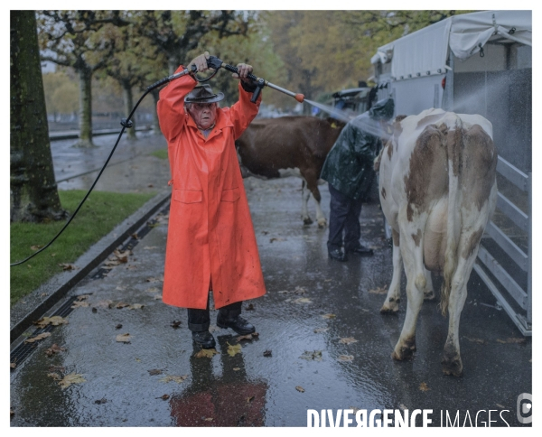 Un Conte en Suisse