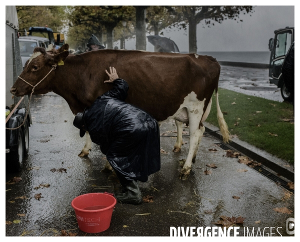 Un Conte en Suisse