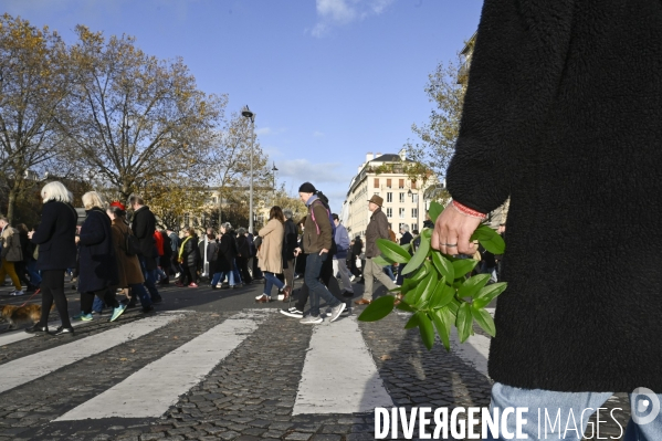 Marche pour la paix aux Proche-Orient, à l appel du monde de la culture, à Paris