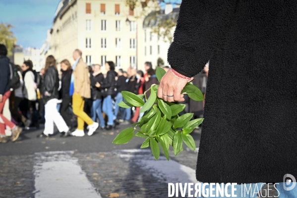 Marche pour la paix aux Proche-Orient, à l appel du monde de la culture, à Paris