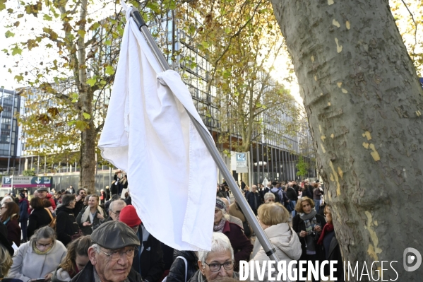 Marche pour la paix aux Proche-Orient, à l appel du monde de la culture, à Paris