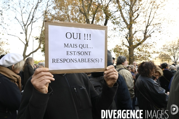 Marche pour la paix aux Proche-Orient, à l appel du monde de la culture, à Paris