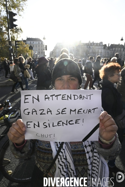 Marche pour la paix aux Proche-Orient, à l appel du monde de la culture, à Paris