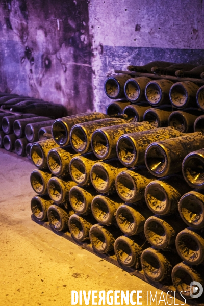 Visite des caves du champagne Pommery Vranken