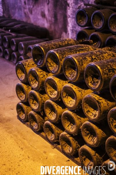 Visite des caves du champagne Pommery Vranken