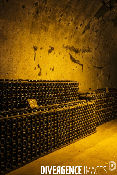 Visite des caves du champagne Pommery Vranken