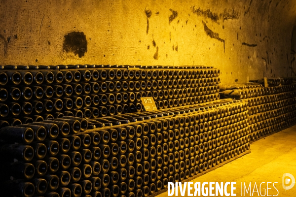 Visite des caves du champagne Pommery Vranken