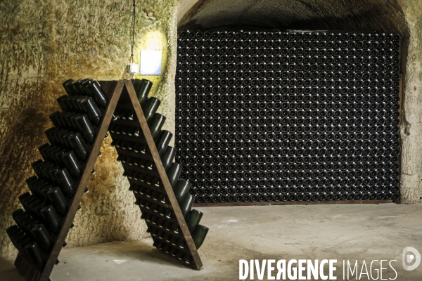 Visite des caves du champagne Pommery Vranken
