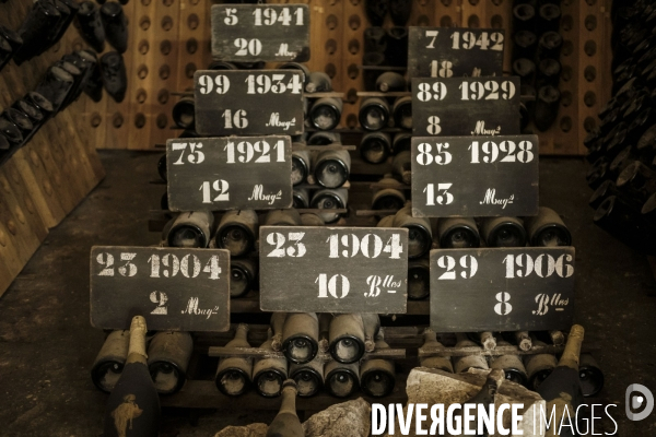 Visite des caves du champagne Pommery Vranken