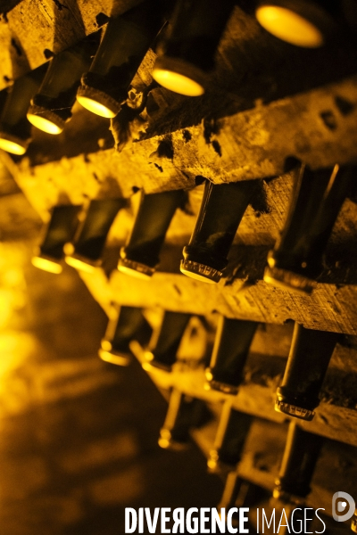 Visite des caves du champagne Pommery Vranken