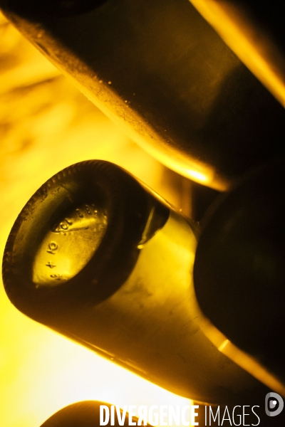 Visite des caves du champagne Pommery Vranken