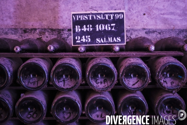 Visite des caves du champagne Pommery Vranken