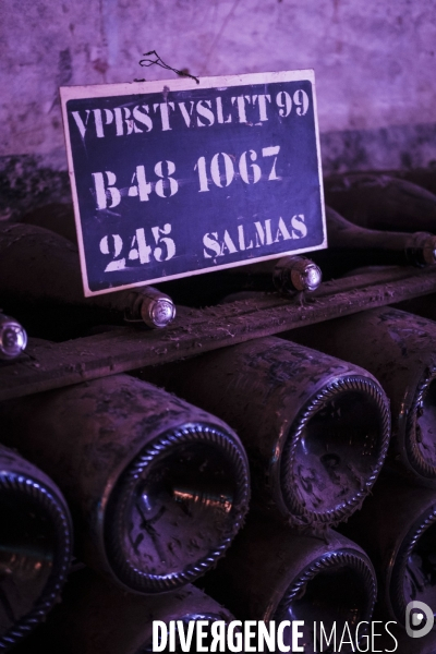 Visite des caves du champagne Pommery Vranken