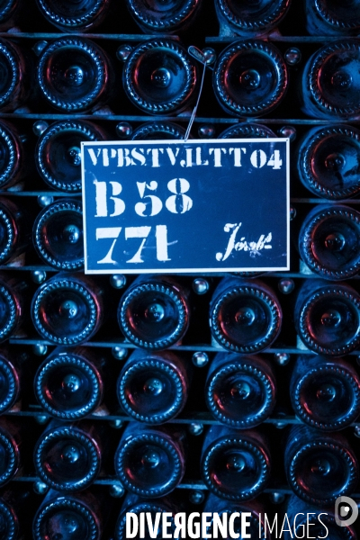 Visite des caves du champagne Pommery Vranken