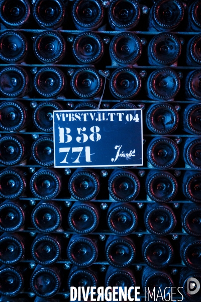 Visite des caves du champagne Pommery Vranken