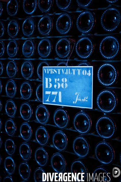 Visite des caves du champagne Pommery Vranken