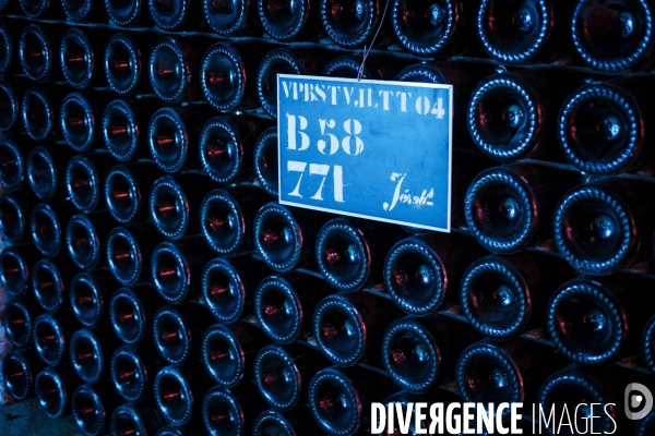 Visite des caves du champagne Pommery Vranken
