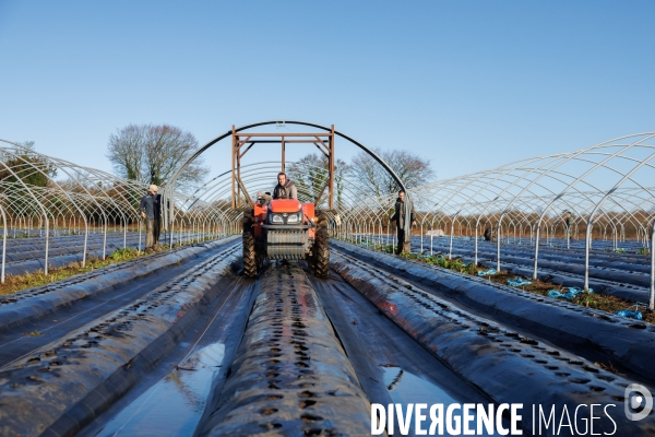 Dégâts agricoles dans le Finistère après la tempête Ciaran