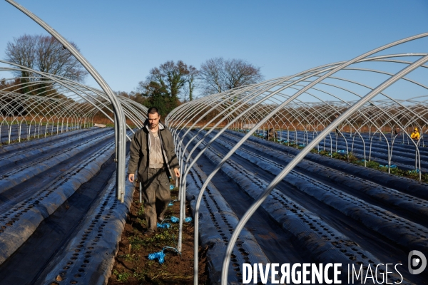 Dégâts agricoles dans le Finistère après la tempête Ciaran