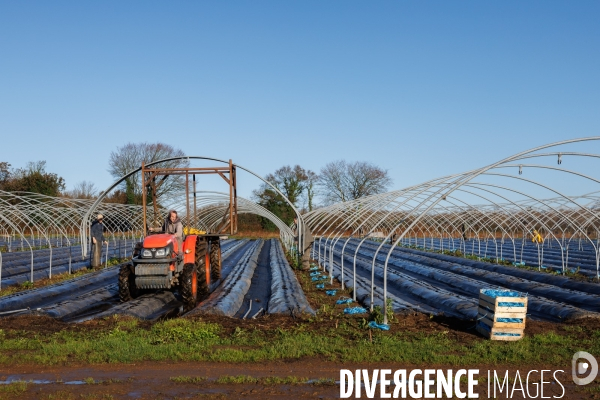 Dégâts agricoles dans le Finistère après la tempête Ciaran