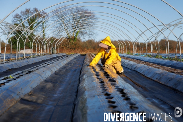 Dégâts agricoles dans le Finistère après la tempête Ciaran