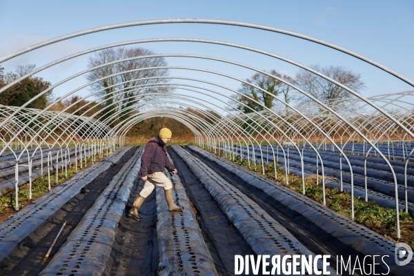 Dégâts agricoles dans le Finistère après la tempête Ciaran