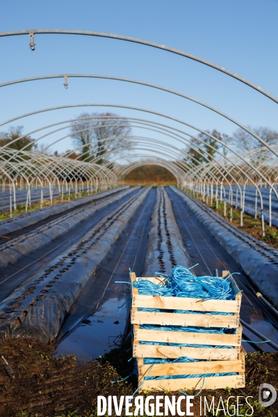 Dégâts agricoles dans le Finistère après la tempête Ciaran