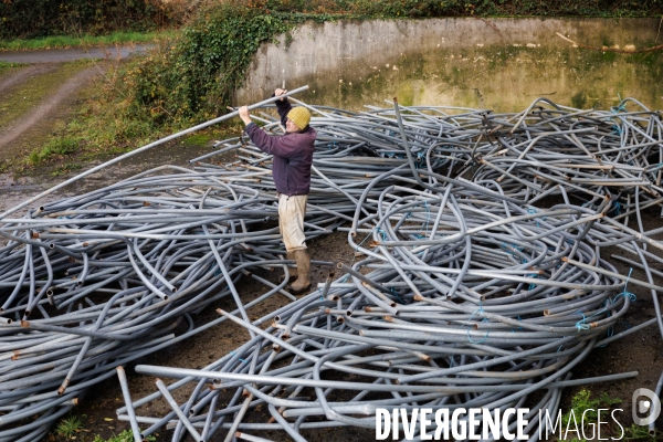 Dégâts agricoles dans le Finistère après la tempête Ciaran